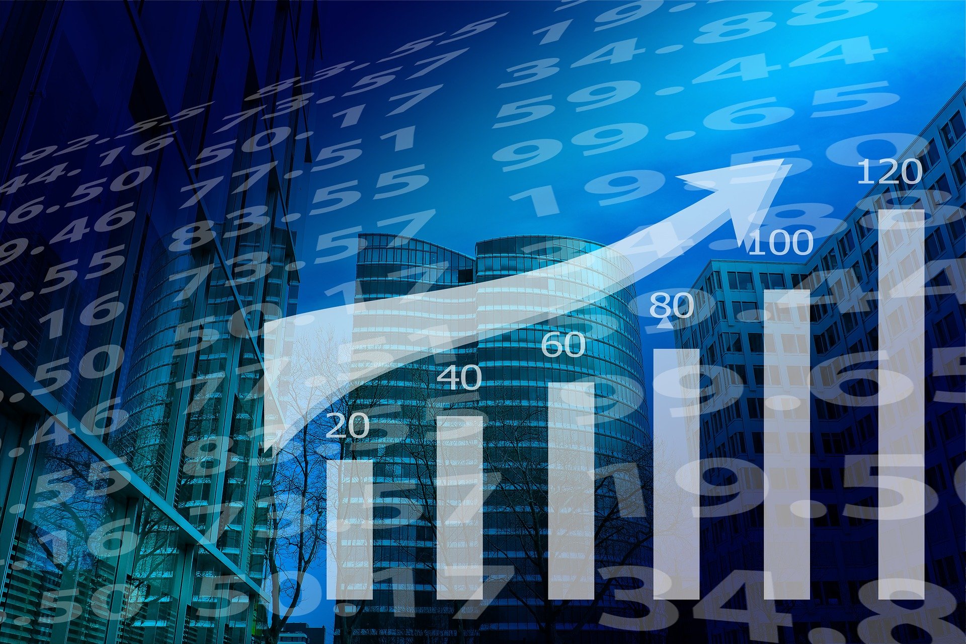 share market for beginners 